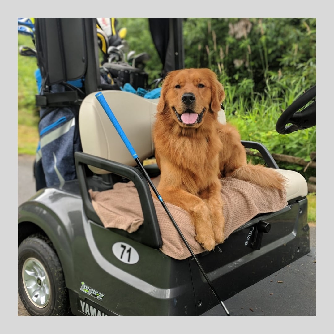Dog-Friendly Golf Course