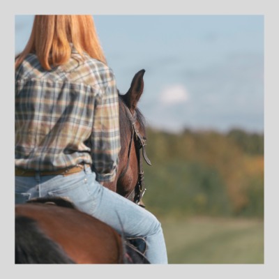 Best Things to Do in Olivenhain