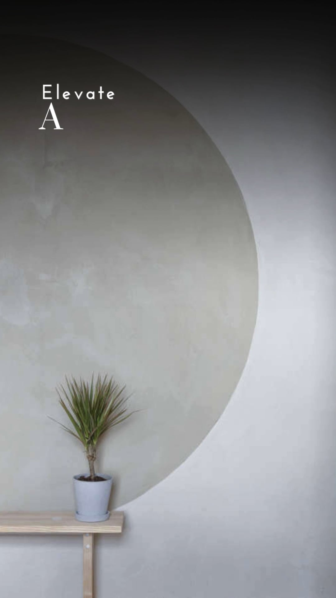 Artisan Plaster